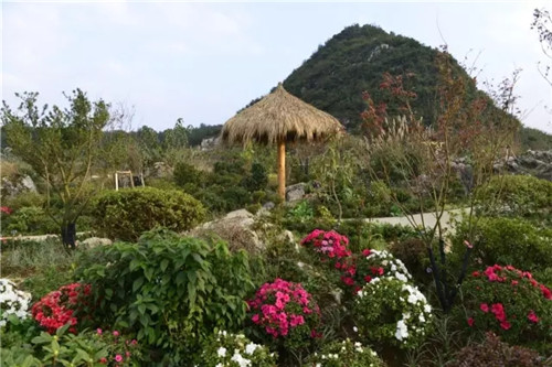 “秘密花園”，云漫湖的詩與遠方！