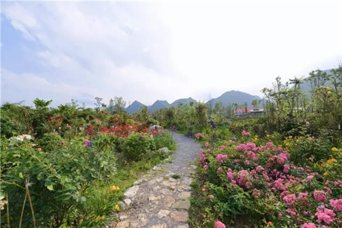 “秘密花園”，云漫湖的詩與遠方！
