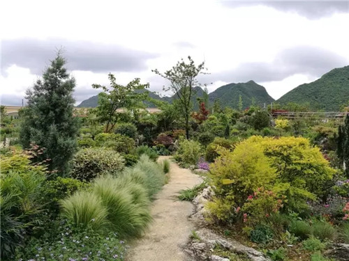 “秘密花園”，云漫湖的詩與遠方！