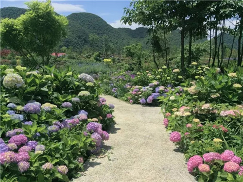 “秘密花園”，云漫湖的詩與遠方！