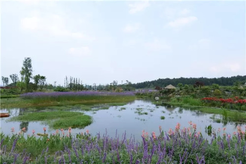 “秘密花園”，云漫湖的詩與遠方！