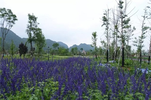“秘密花園”，云漫湖的詩與遠方！