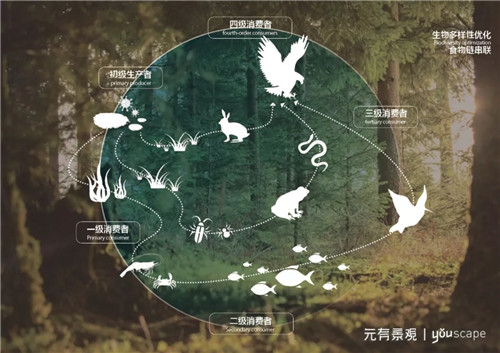 蜀國新天府，秀色看簡州——成都龍升公園