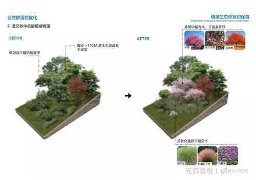 蜀國新天府，秀色看簡州——成都龍升公園