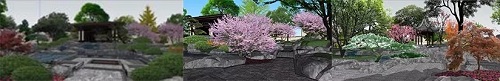 北京順景園林近期作品