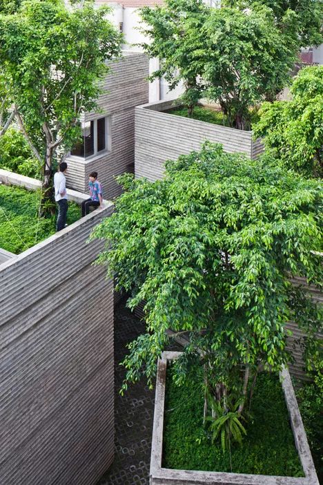 被低估的越南“綠色住宅”