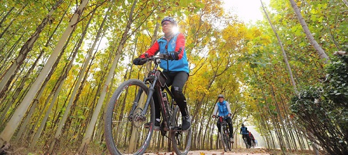 森林城市：涂抹“綠”生活