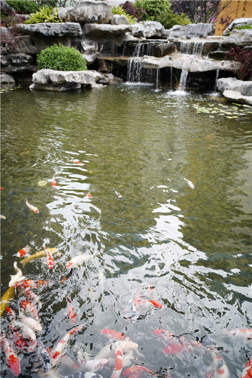 高宅大園　國(guó)風(fēng)賦新丨深圳泰禾金尊府