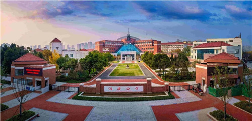 2019園冶杯專業獎丨合肥潤安公學景觀提升工程（一期）
