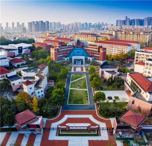 2019園冶杯專業獎丨合肥潤安公學景觀提升工程（一期）