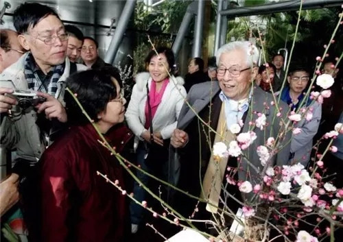 這一次，牡丹能當上中國的國花嗎？