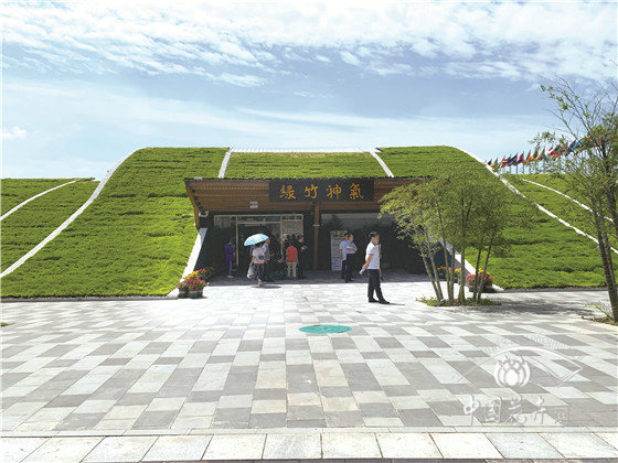適合大面積推廣的輕型屋頂綠化 以世園會國際竹藤組織園為例