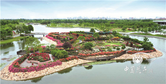 上海辰山植物園：植物界365天魔法師