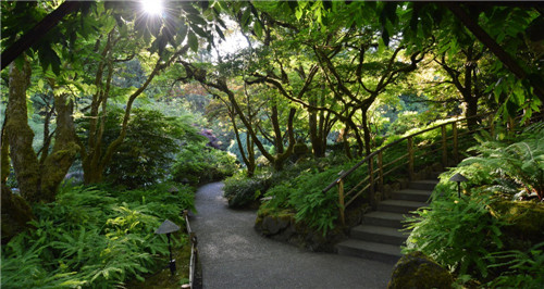 礦坑公園，讓大地傷疤涅槃重生