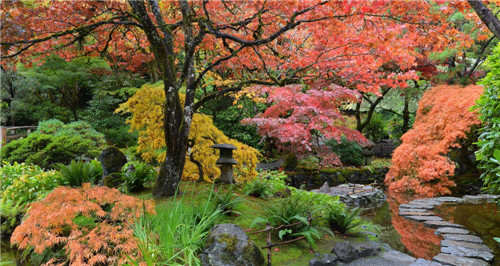 礦坑公園，讓大地傷疤涅槃重生