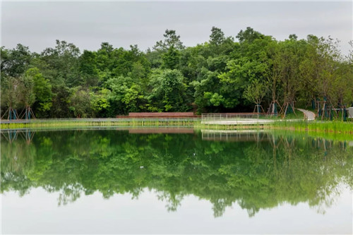 礦坑公園，讓大地傷疤涅槃重生