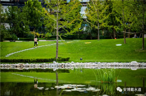 Ramboll Share | 國銳金嵿生態公園社區-環境友好型景觀設計與雨洪管理實踐
