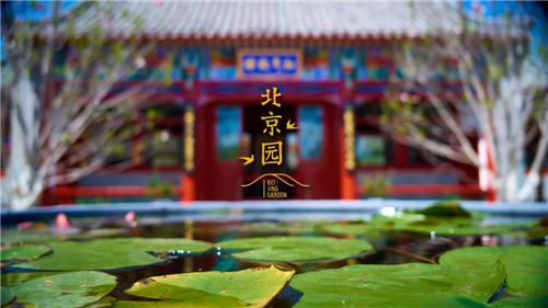 2019園冶杯專業獎丨2019北京世園會北京園