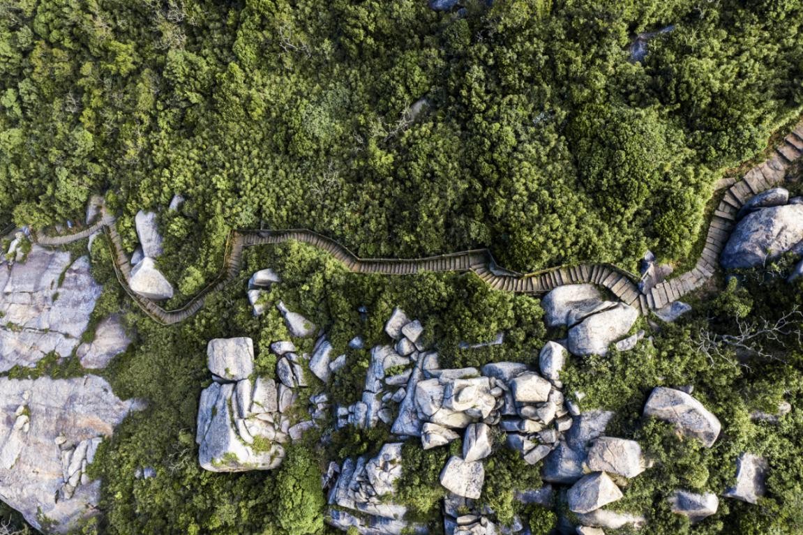 2019園冶杯專業獎丨廣東南澳海島國家森林公園總體規劃