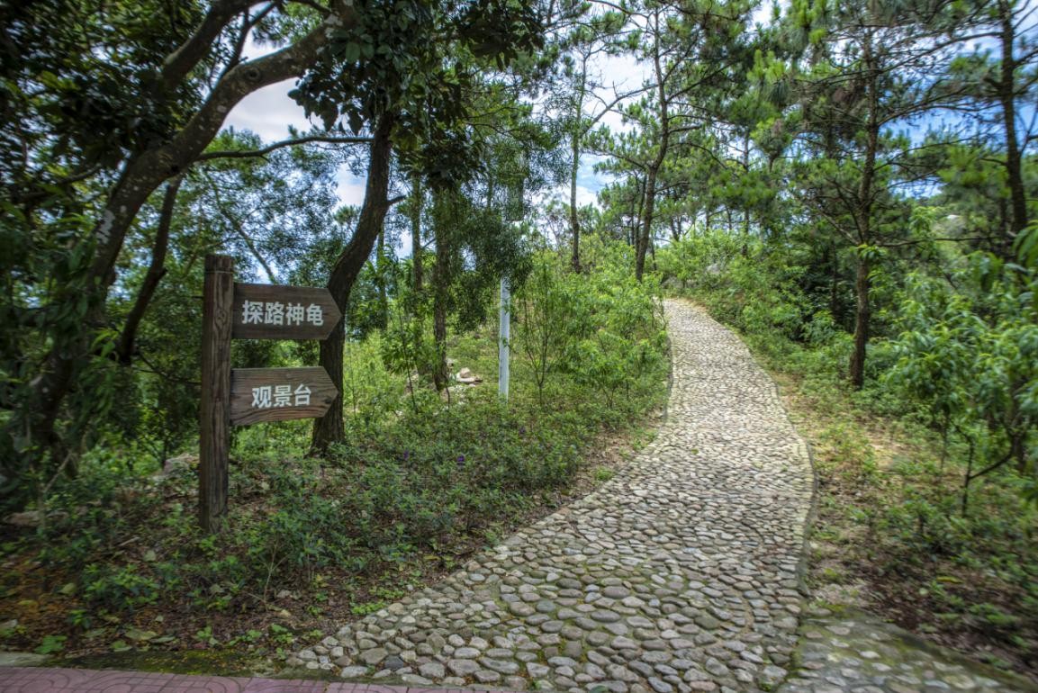 2019園冶杯專業獎丨廣東南澳海島國家森林公園總體規劃