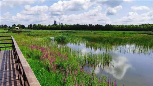 2019園冶杯專業獎丨樺南幸福濕地公園景觀設計