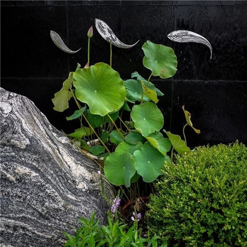 2019園冶杯專(zhuān)業(yè)獎(jiǎng)丨沈陽(yáng)龍湖九里晴川示范區(qū)