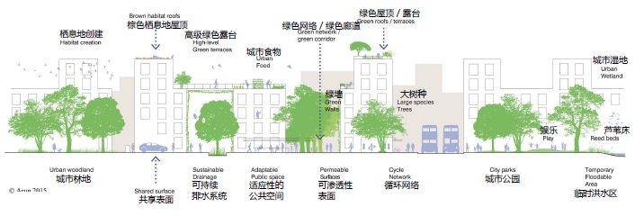 Justin Abbott：水設計——通過整合藍、綠、灰色基礎設施提高城市韌性