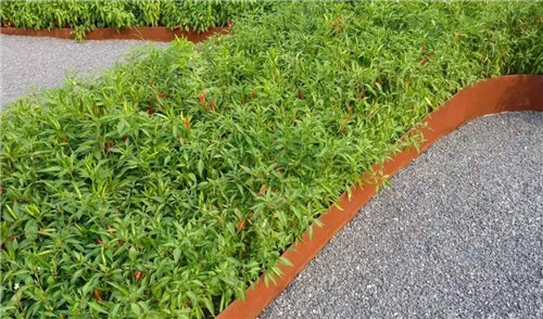 2019園冶杯專業(yè)獎丨秦皇島濱海度假城兒童農莊