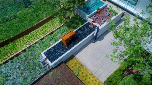 鄒裕波：可持續景觀設計實踐——海綿城市落地探討