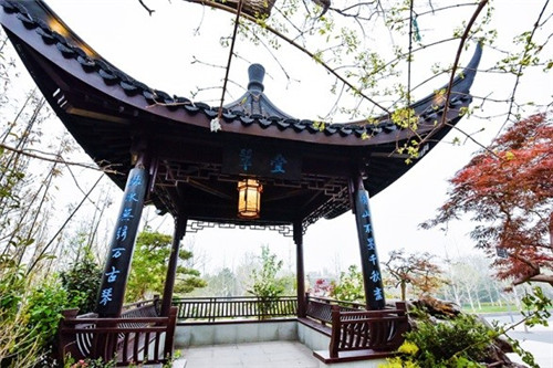 浙里故事｜深化設(shè)計(jì)，助力展園走上精品之路