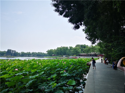 北京推出十條主題線路！帶您流連京城新景觀