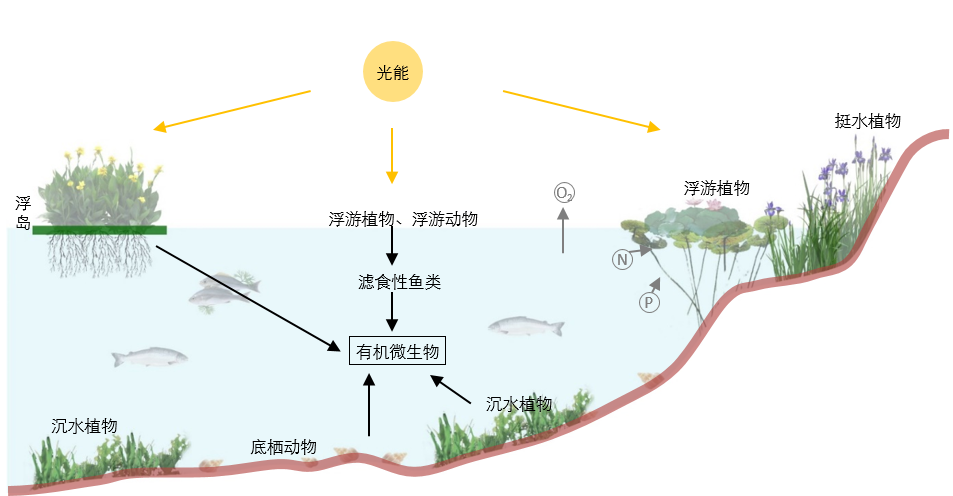 園冶杯專業獎|池州護城河遺址公園景觀與海綿設計