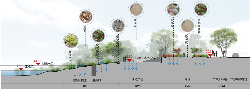 園冶杯專業獎|池州護城河遺址公園景觀與海綿設計