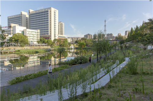 園冶杯專業獎|池州護城河遺址公園景觀與海綿設計