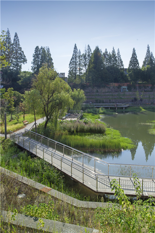 園冶杯專業獎|池州護城河遺址公園景觀與海綿設計