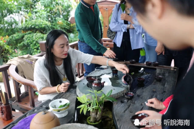 2019第七屆世界生態(tài)城市與屋頂綠化大會(huì)在海口成功召開
