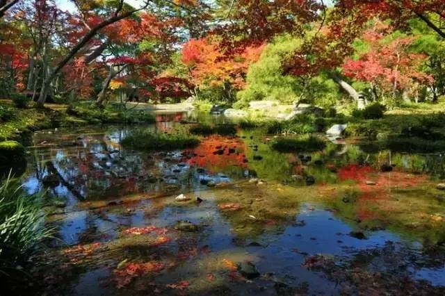日本最美園林集合