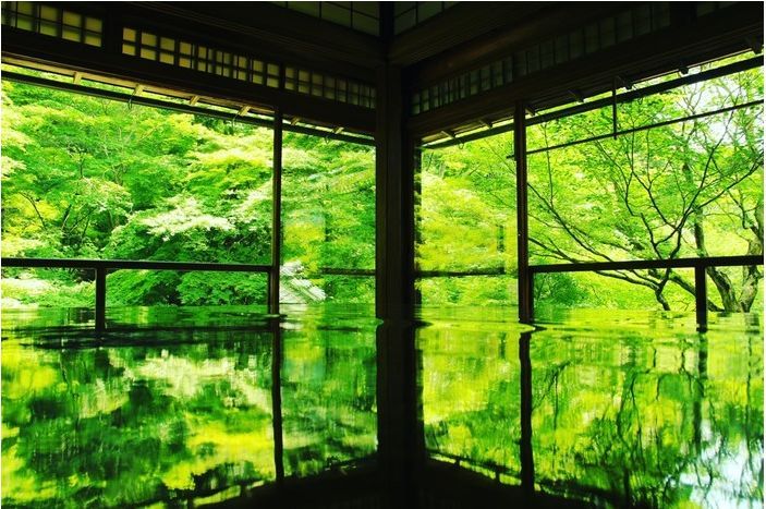 日本最美園林集合