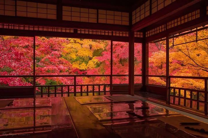 日本最美園林集合