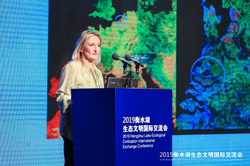 十余國知名專家衡水論劍 共話湖城生態(tài)文明建設(shè)之路
