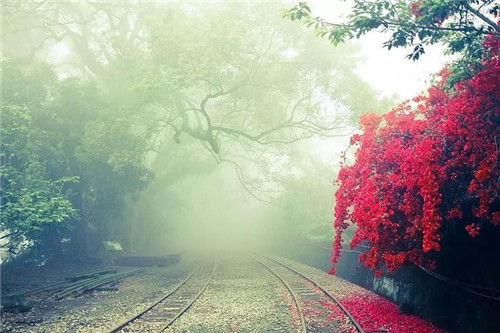 是鐵路也是風(fēng)景：線性文化遺產(chǎn)的活化利用