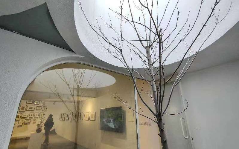 胡同深處巨變：北京城市更新的漫長實驗