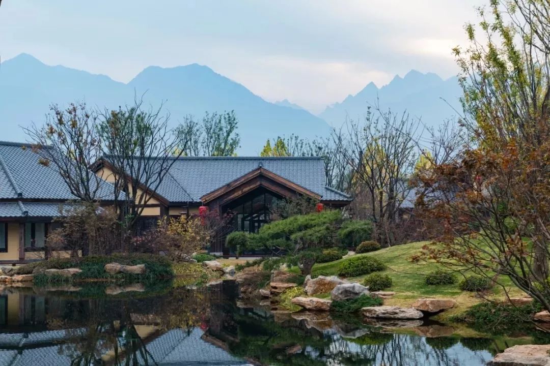 穿越千年盛唐，赴山水詩意之境 | 太白山·唐鎮