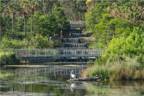 2019園冶杯專業獎大獎丨悉尼公園水再利用工程景觀設計