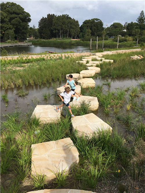2019園冶杯專業獎大獎丨悉尼公園水再利用工程景觀設計