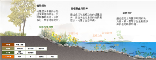園冶杯專業獎|北京市麗澤金融區河流綜合整治方案