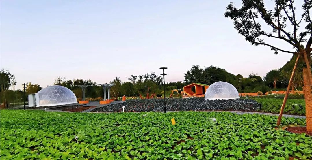 聯(lián)合國世界城市論壇開幕，園冶杯代表團攜優(yōu)秀作品閃耀登場