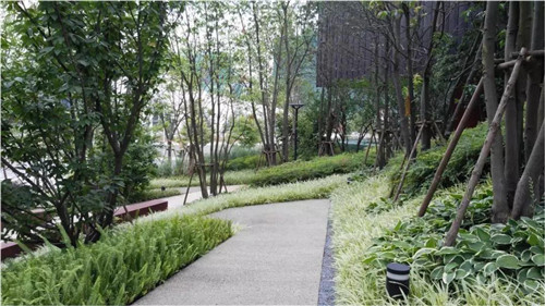 種地設(shè)計亮相聯(lián)合國世界城市論壇