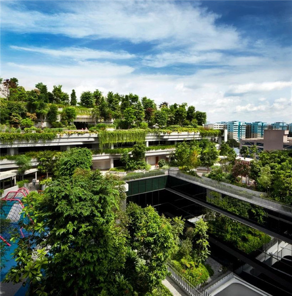 WOHA丨Kampung Admiralty社區綜合體