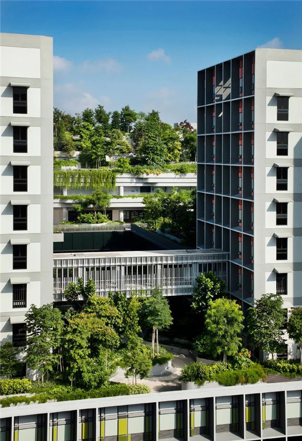 WOHA丨Kampung Admiralty社區綜合體